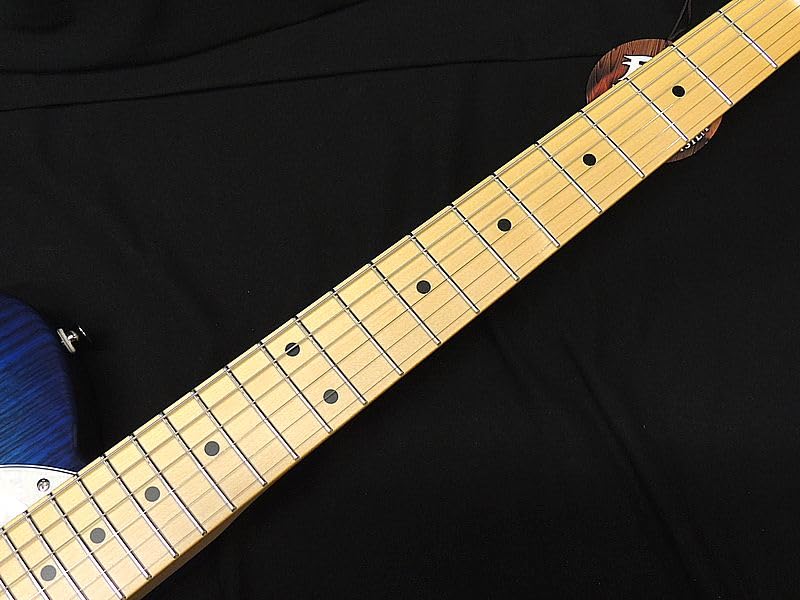 Amazon | FGN FUJIGEN NTE100MAHT SBB フジゲン Neo Classic